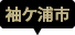 袖ケ浦市